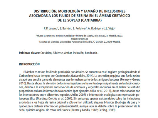 Distribución, morfología y tamaño de inclusiones asociadas a los flujos de resina en el ámbar cretácico de el Soplao (Cantabria)