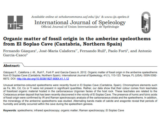 Organic matter of fossil origin in the amberine speleothems from El Soplao Cave (Cantabria, Northern Spain)