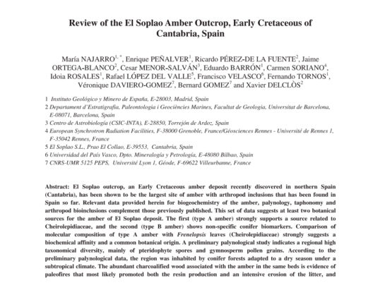 Review of the El Soplao Amber Outcrop, Early Cretaceous of Cantabria, Spain