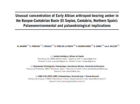 Unusual concentration of Early Albian arthropod-bearing amber in the Basque-Cantabrian Basin (El Soplao, Cantabria, Northern Spain): Palaeoenvironmental and palaeobiological implications